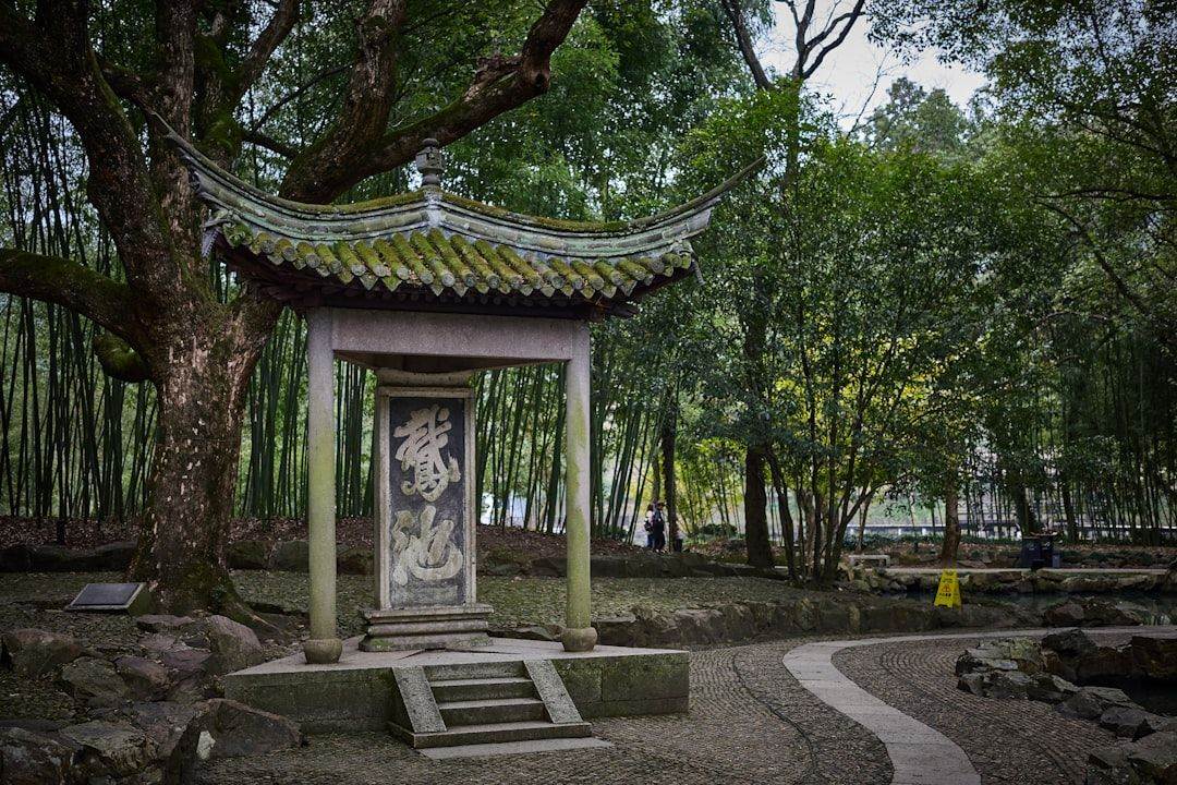 带孩子读园林 · 亲子两日苏州实景